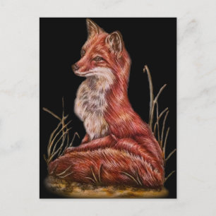 Carte Postale Dessin d'art animal Red Fox
