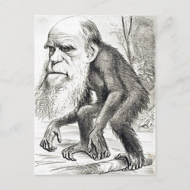 Carte Postale Dessin De Charles Darwin 1871 (Devant)