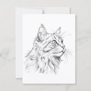 Carte Postale Dessin de chat