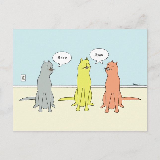 Carte Postale Dessin De Chat Avec "Meow" Et "Usow" De Chats Amus (Devant)