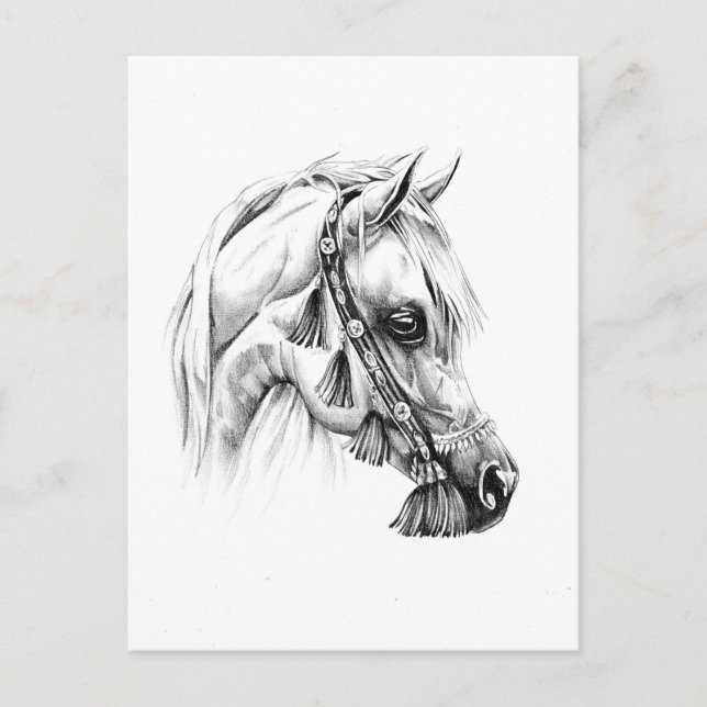 Carte Postale Dessin de cheval croquis artisanal (Devant)