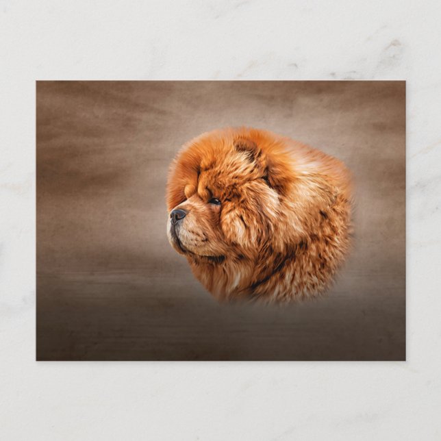 Carte Postale Dessin de chow chow chow (Devant)