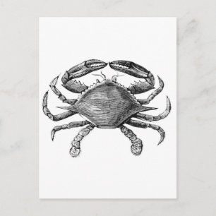 Carte Postale Dessin de crabe vintage