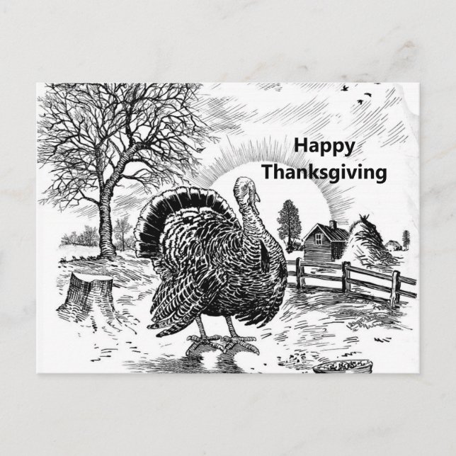 Carte Postale Dessin de ferme de Turquie Thankgiving (Devant)