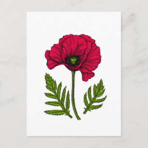 Carte Postale Dessin de pavot rouge 3