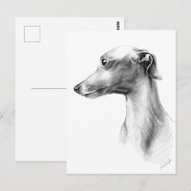 Carte Postale Dessin de portrait de chien de Greyhound Whippet i (Devant / Derrière)