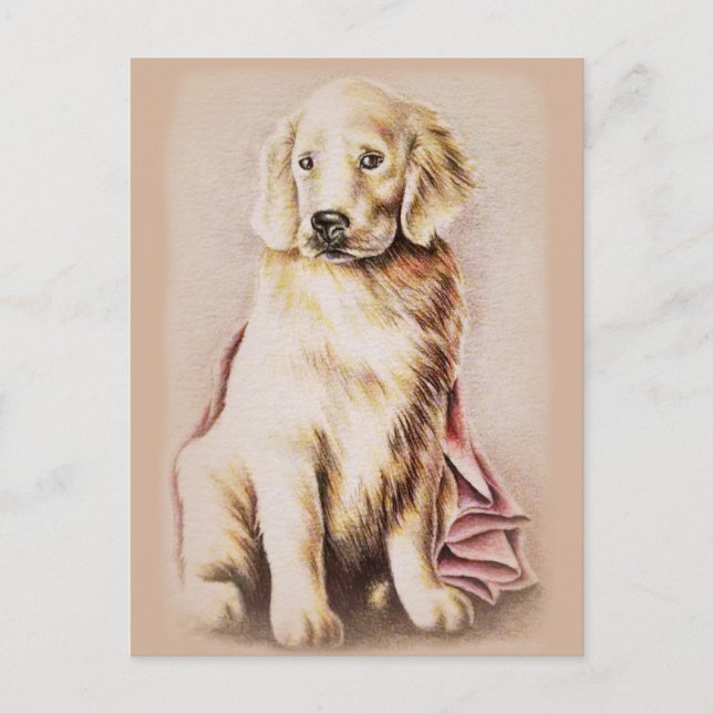 Carte Postale Dessin de portrait de chiot Golden Retriever comme (Devant)
