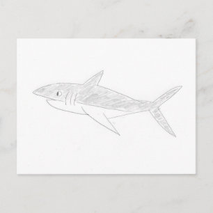 Carte Postale Dessin de requins