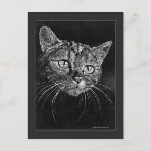 Carte Postale Dessin de visage de chat par Mark Edward Westerfie