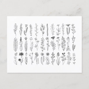 Carte Postale Dessin D'Encre Fleurs Et Herbes
