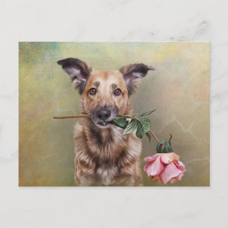 Carte Postale Dessin drôle chien tenant une fleur dans la bouche