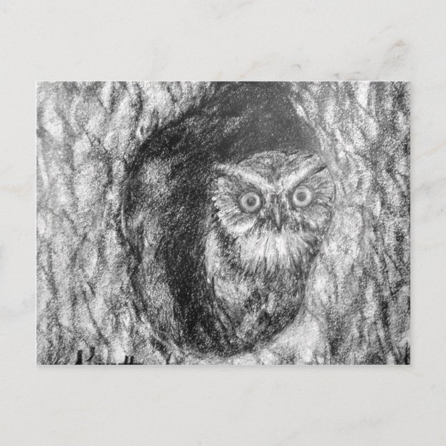 Carte Postale Dessin en noir et blanc de la Chouette (Devant)