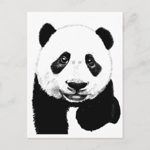 Carte Postale Dessin Panda