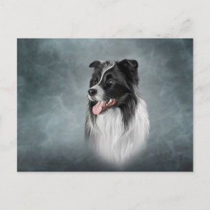 Carte Postale Dessin race de chien Bordure Collie