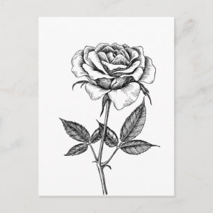 Carte Postale dessin rose