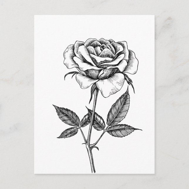 Carte Postale dessin rose (Devant)