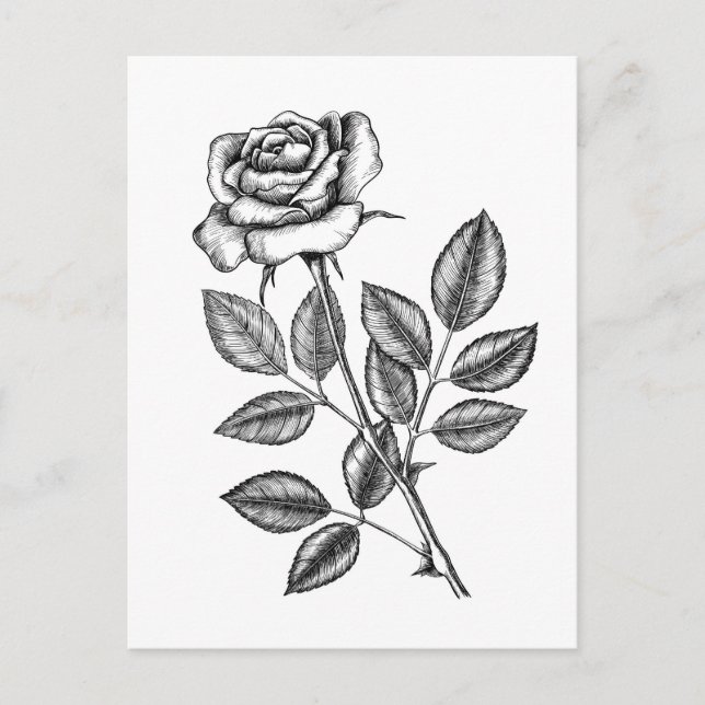 Carte Postale dessin rose 2 (Devant)