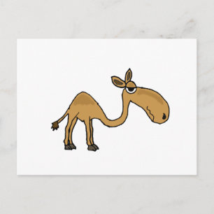 Carte Postale Dessin sur un chameau funky