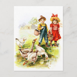 Carte Postale Dessin vintage : Alimentation des oies