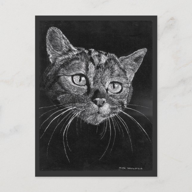 Carte Postale Dessin Visage De Chat Par Mark Edward Westerfield (Devant)