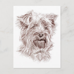 Carte Postale Dessin Yorkshire Terrier