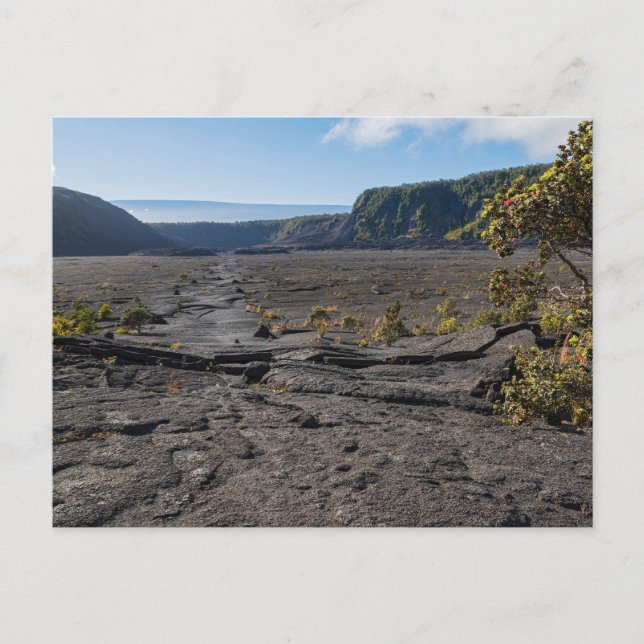 Carte Postale dessus lit de lave sèche du cratère kilauea iki (Devant)