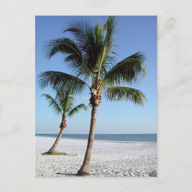 Carte Postale Destin Florida (Devant)