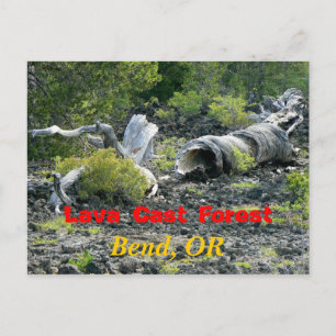 Carte Postale Destruction tordue