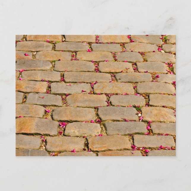 Carte Postale Détail de la marche en pavés (Devant)