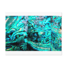 Détails de la coquille d'ormeau turquoise