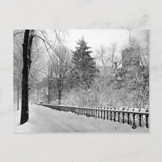 Carte postale Detroit Michigan 1903 (Devant)