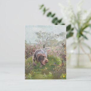 Carte Postale Deutsch Drahthaar