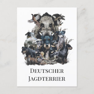 Carte Postale Deutscher Jagdterrier