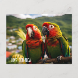 CARTE POSTALE DEUX BEAUX PARROTS DE DOMINICA