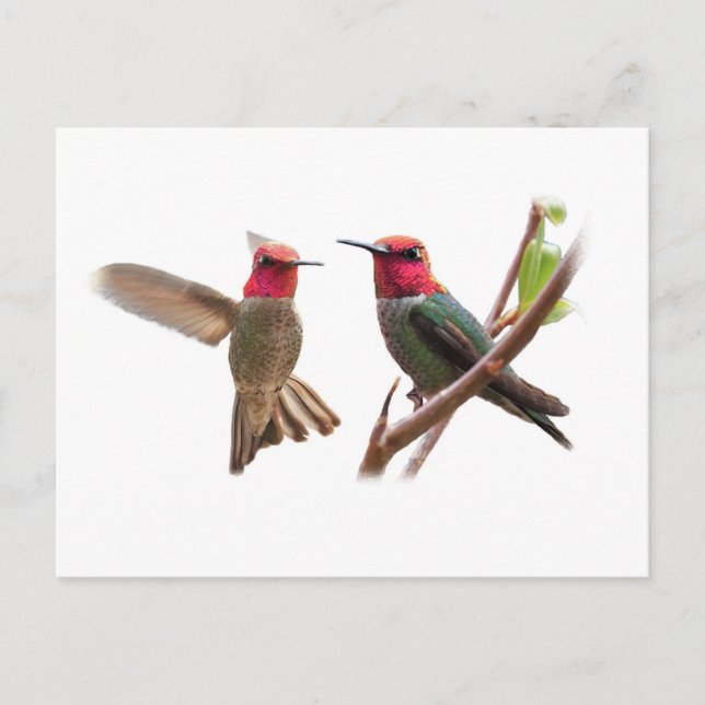 CARTE POSTALE DEUX BIJOUX DE VOL (Devant)