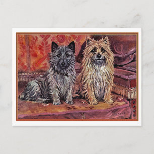 Carte Postale Deux Cairn Terriers