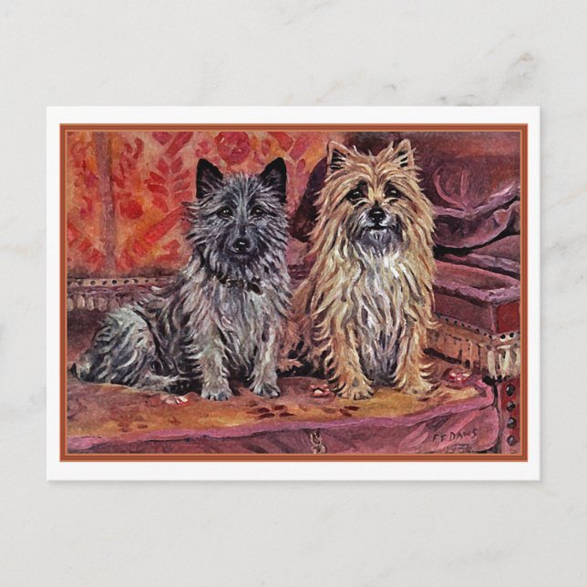 Carte Postale Deux Cairn Terriers (Devant)