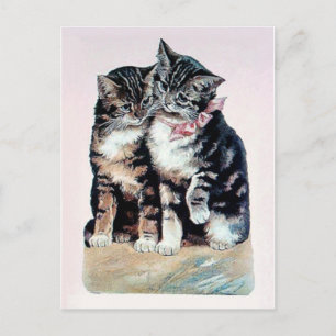 Carte Postale deux chatons chats mignonette amour adorable anima
