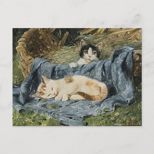 Carte Postale Deux chatons | Julius Adam le Jeune (Devant)