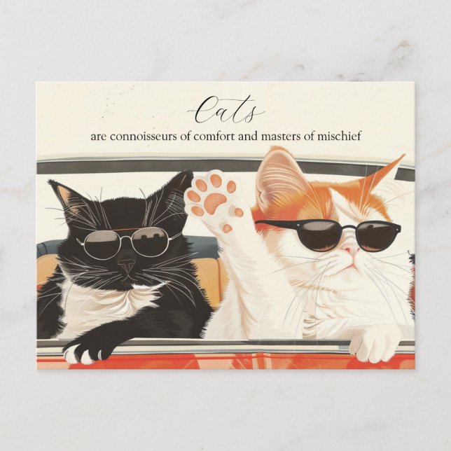 Carte Postale Deux chats mignons (Devant)