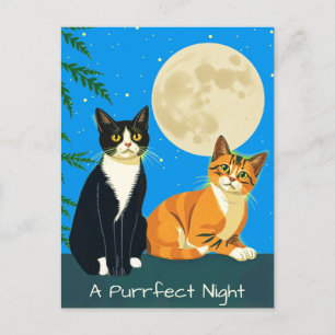 Carte Postale Deux chats sous la Pleine lune