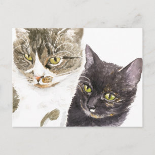 Carte Postale Deux chats - tabby et tortie