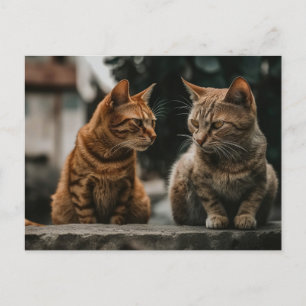 Carte Postale Deux chats Tom Parlant Drôle Chat