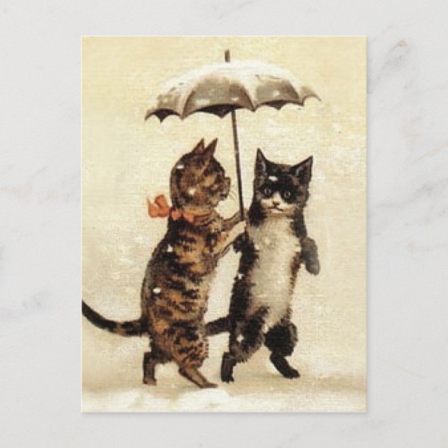 Carte Postale Deux chats un parapluie (Devant)