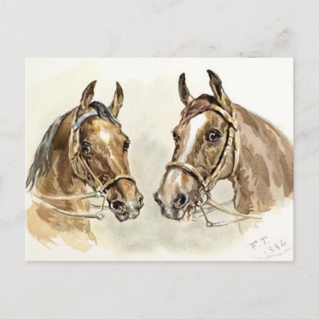 Carte Postale Deux chevaux de "Études en Peinture Animale" (Devant)