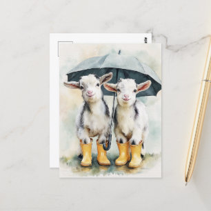 Carte Postale Deux chèvres tachetées pendant un jour pluvieux