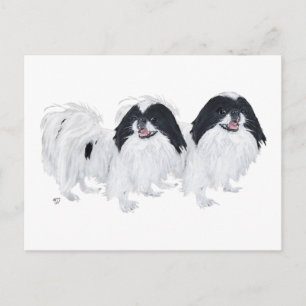 Carte Postale Deux chiens japonais Chin