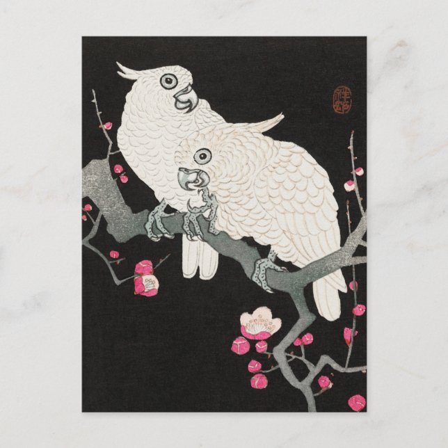 Carte Postale Deux cokatos et fleurs de prune par Ohara Koson (Devant)