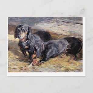 Carte Postale Deux Dachshunds avec Bone Hermine Biedermann