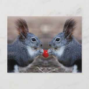Carte Postale Deux écureuils tenant un coeur à lire